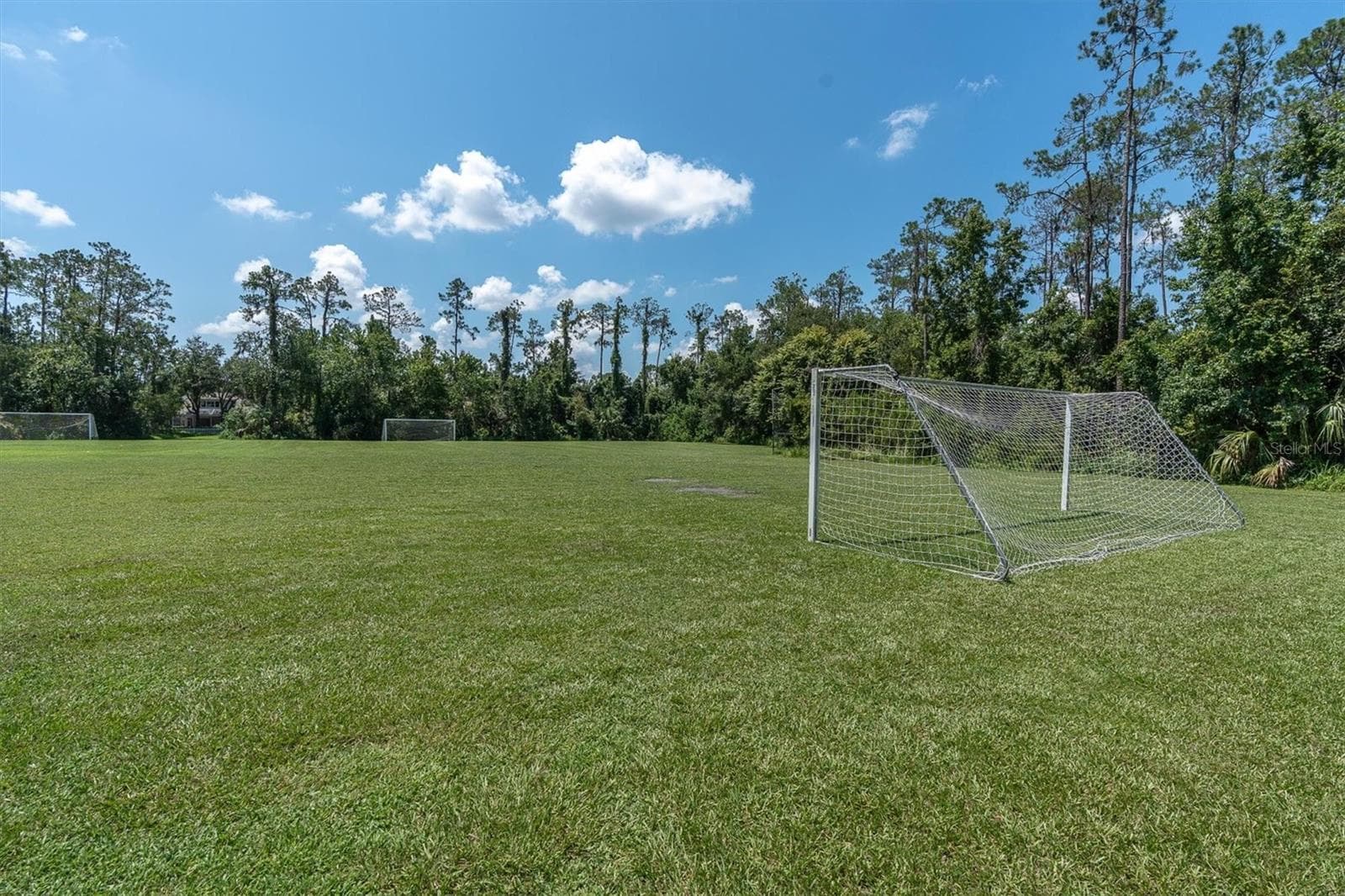 Single Family Residence at 27027 BRUSH CREEK WAY, WESLEY CHAPEL, photo 64 of 74