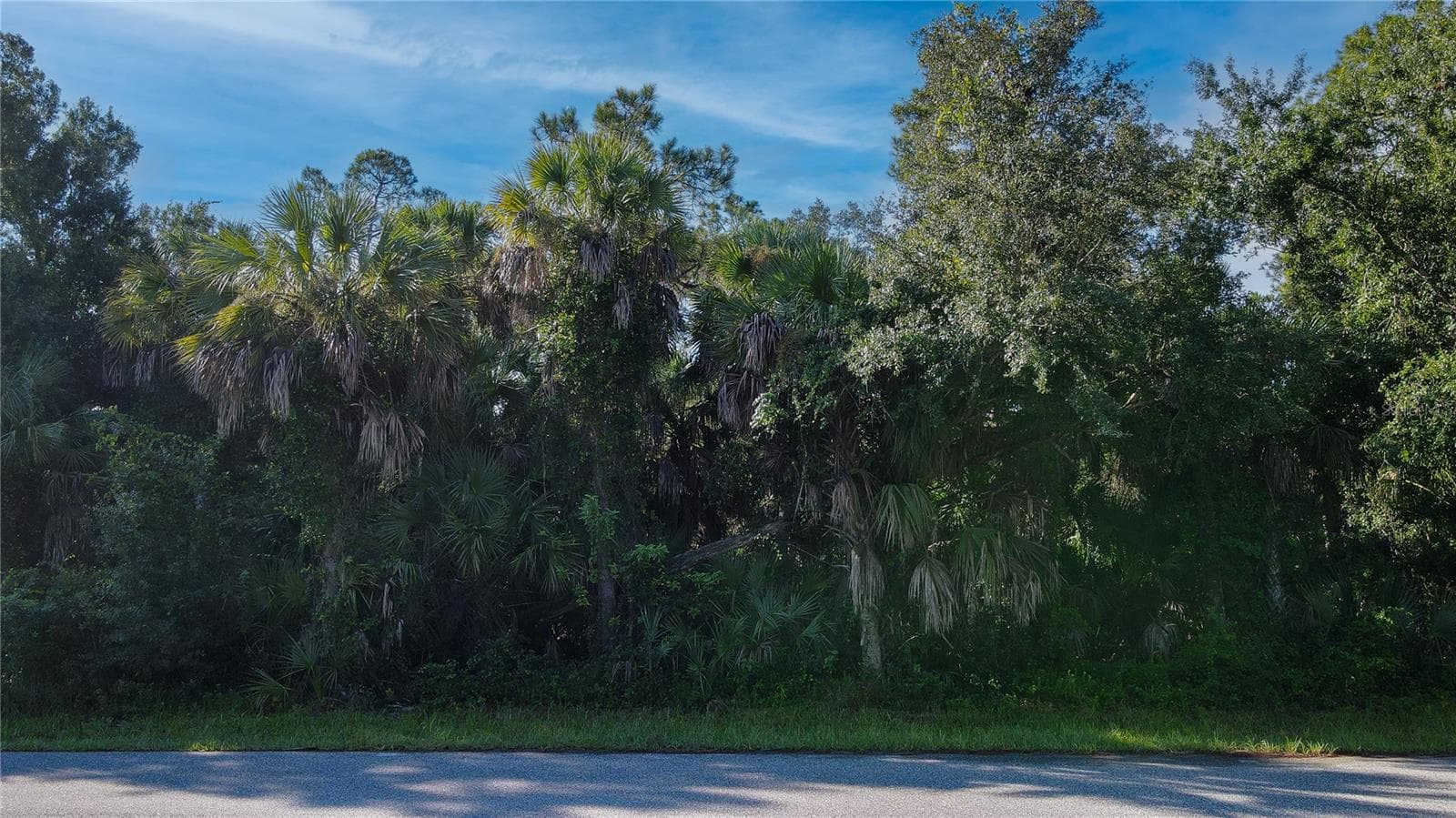 Land at 20237 SPANGLER TER, PORT CHARLOTTE, photo 7 of 8