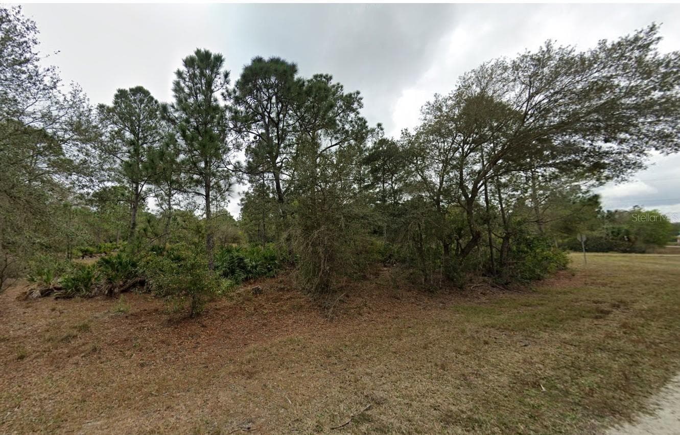 Land at 13170 SAN BENITO DR, PUNTA GORDA, photo 6 of 6