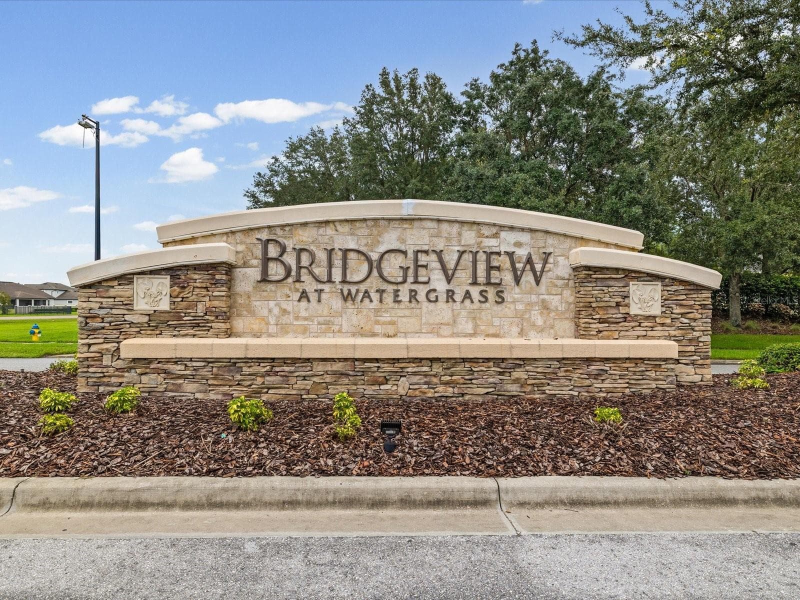 Single Family Residence at 7335 BRIDGEVIEW DR, WESLEY CHAPEL, photo 69 of 90