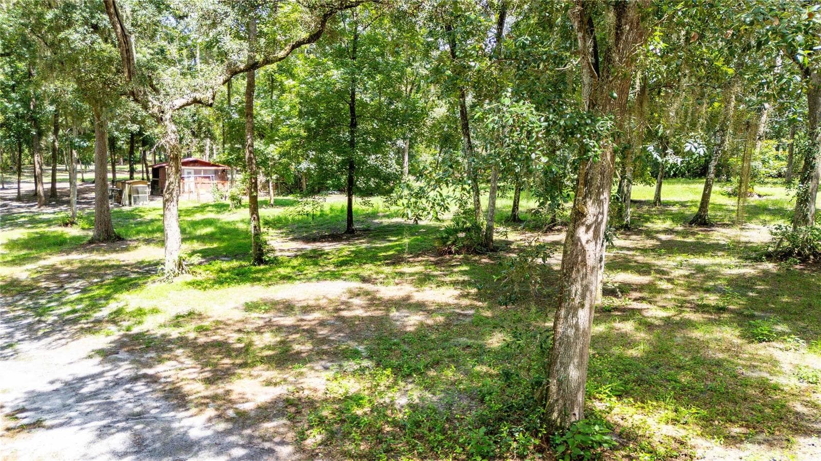 Single Family Residence at 24142 TAMBER ROAD, BROOKSVILLE, photo 81 of 94