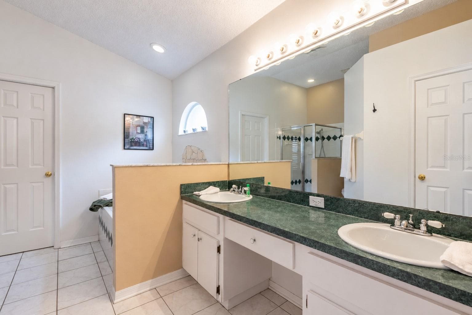 Primary bathroom - 10274 OASIS PALM DR, TAMPA