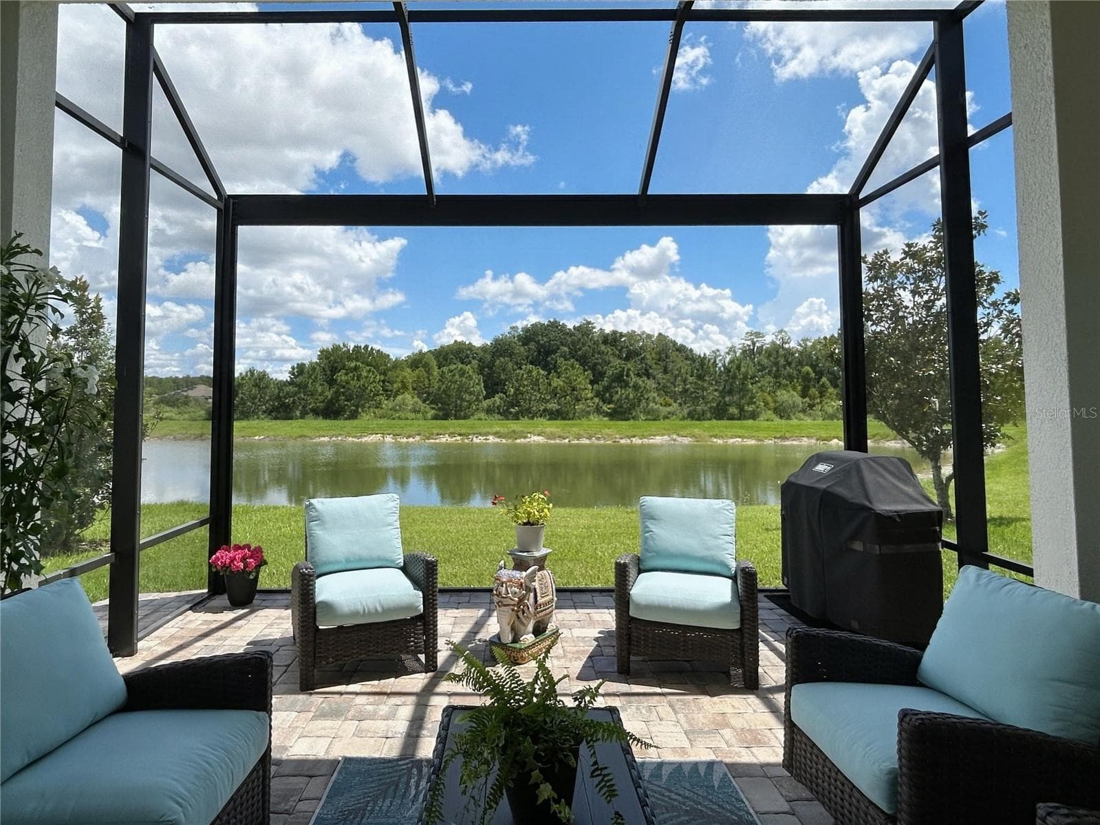 View of Pond and conservation from extended Lanai - 4170 BARLETTA CT, WESLEY CHAPEL
