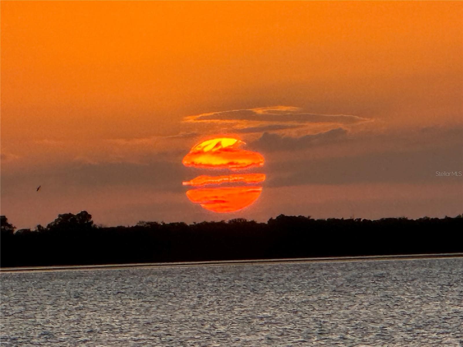 Florida Sunset - 612 E SPRUCE ST, TARPON SPRINGS