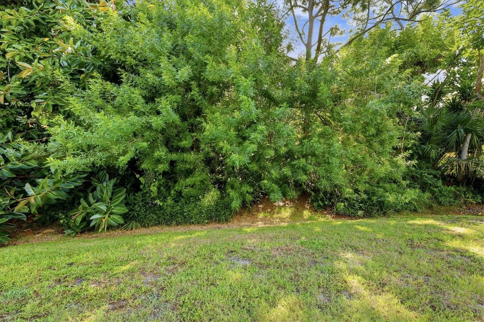 Private backyard - 8857 HAVENRIDGE DR, SARASOTA