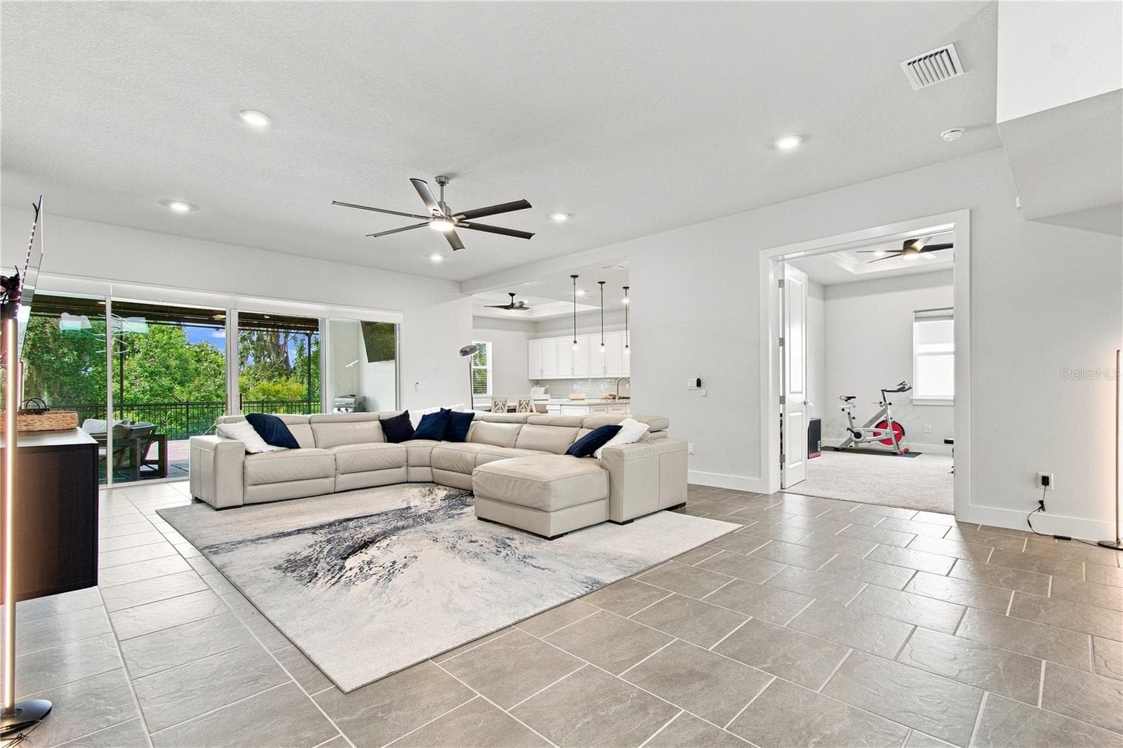 8699 Ivy Stark Blvd - Family Room - 8699 IVY STARK BLVD, WESLEY CHAPEL