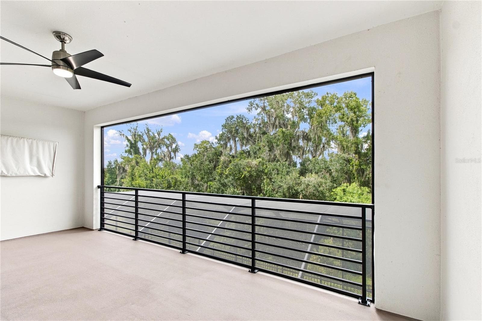 8699 Ivy Stark Blvd - Balcony - 8699 IVY STARK BLVD, WESLEY CHAPEL