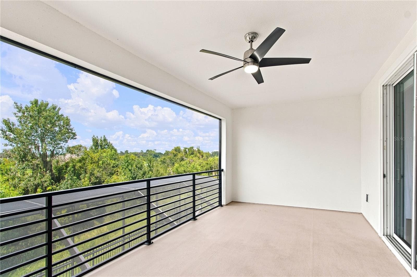8699 Ivy Stark Blvd - Balcony - 8699 IVY STARK BLVD, WESLEY CHAPEL