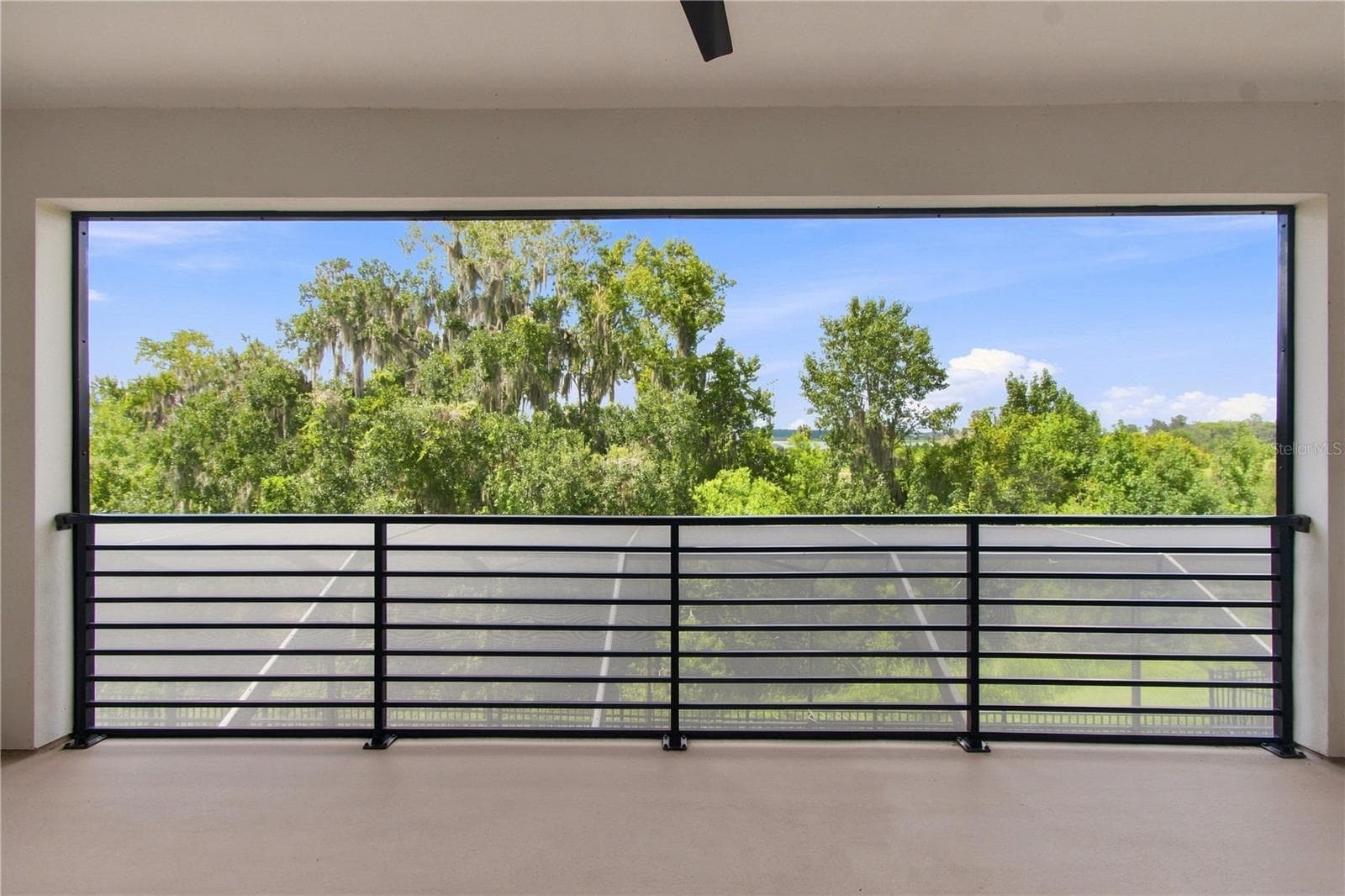 8699 Ivy Stark Blvd - Balcony with View of King's Lake - 8699 IVY STARK BLVD, WESLEY CHAPEL