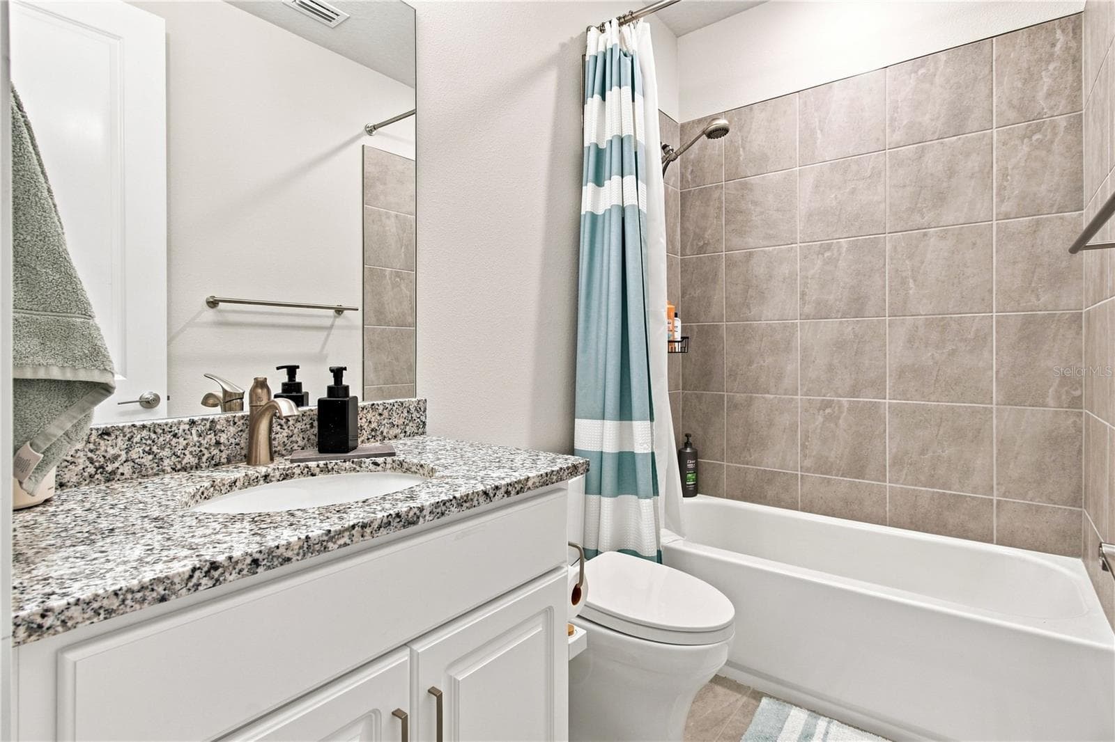 8699 Ivy Stark Blvd - Guest Bathroom - 8699 IVY STARK BLVD, WESLEY CHAPEL
