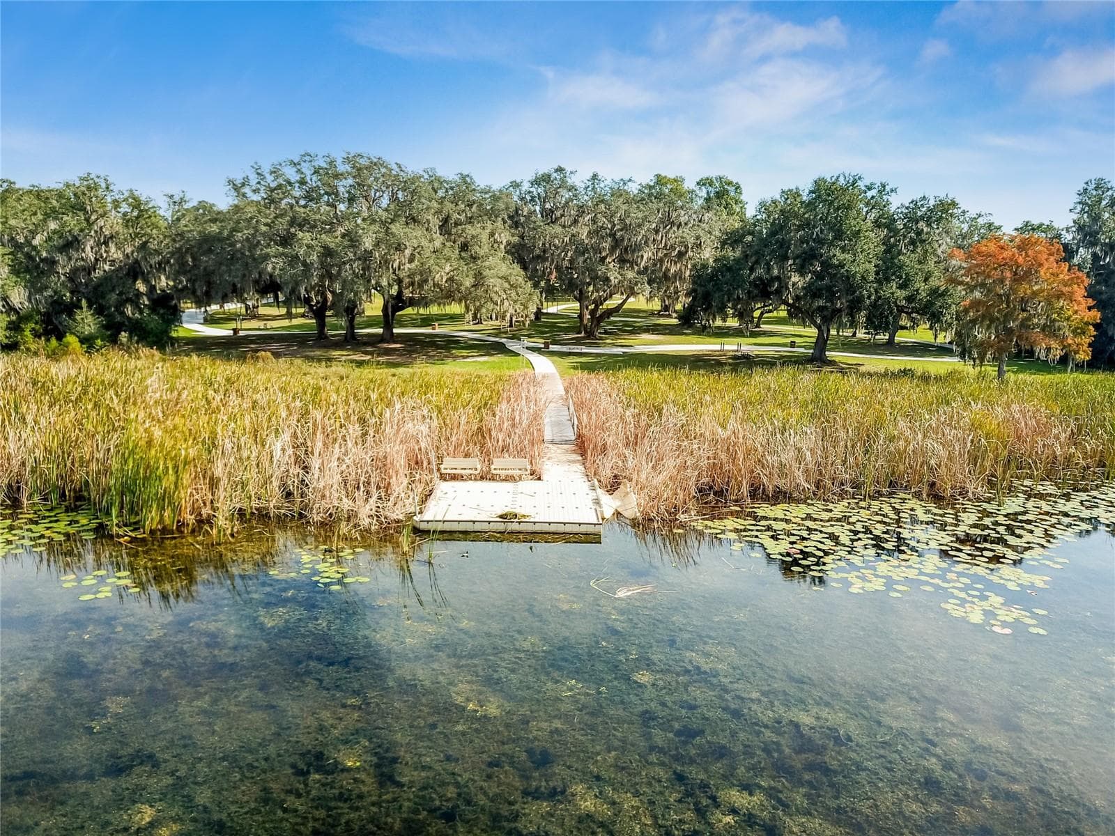 8699 Ivy Stark Blvd - Eagle Park - 8699 IVY STARK BLVD, WESLEY CHAPEL