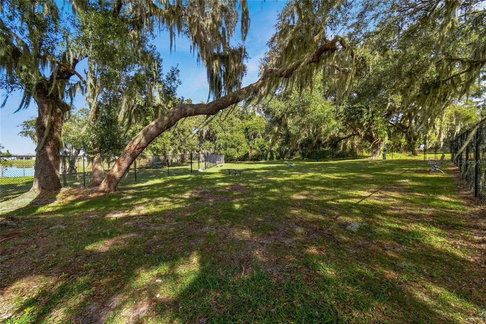 8699 Ivy Stark Blvd - Eagle Park Dog Park - 8699 IVY STARK BLVD, WESLEY CHAPEL