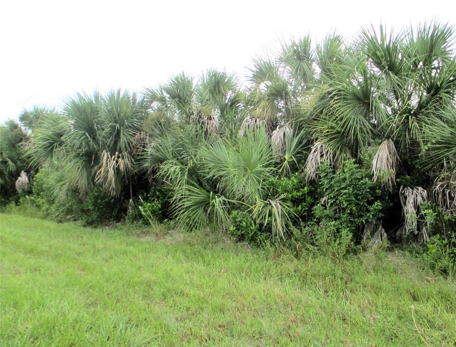 Front of lot - 10526 RAINSVILLE ST, PORT CHARLOTTE