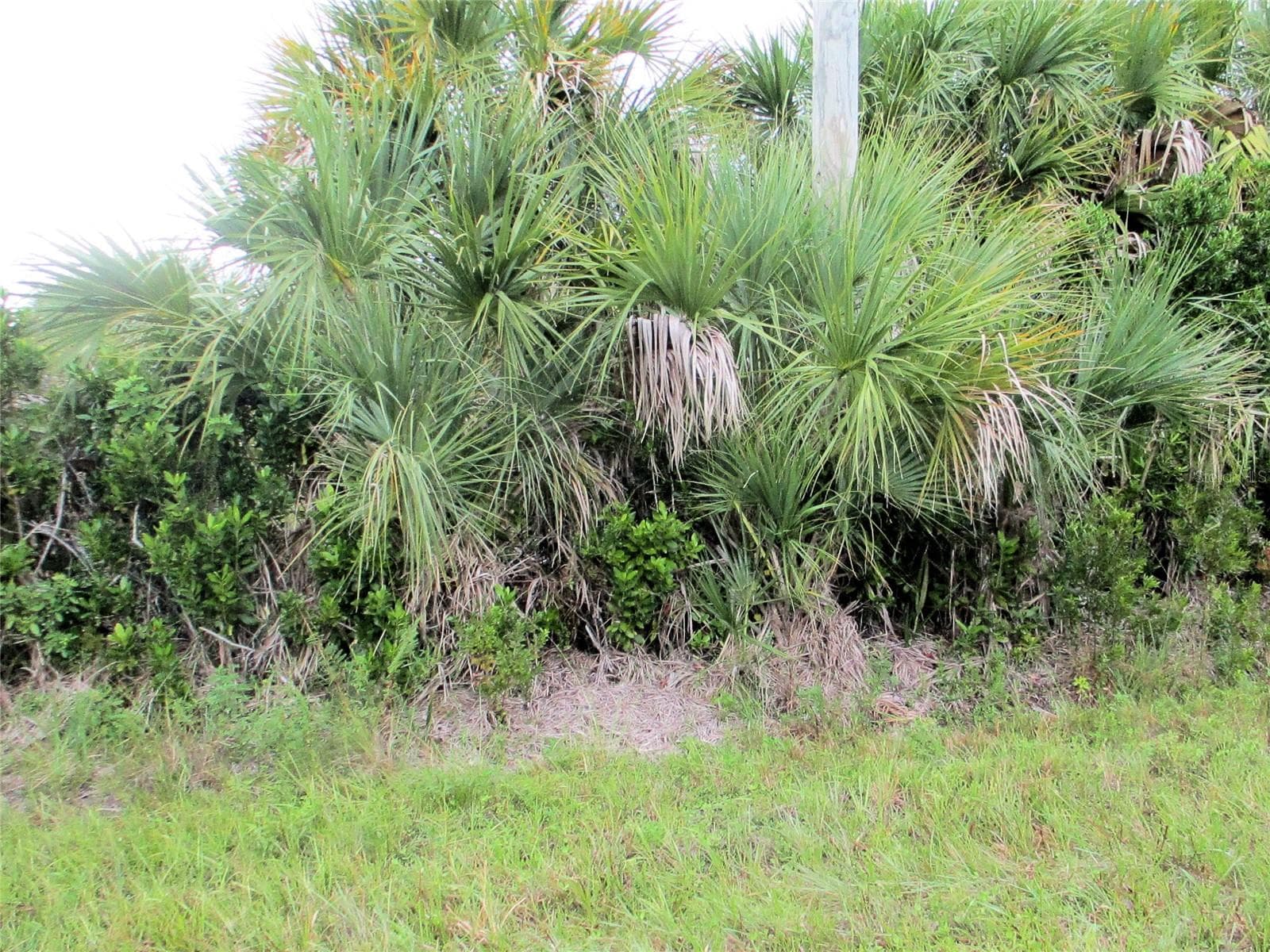Front of lot - 10526 RAINSVILLE ST, PORT CHARLOTTE