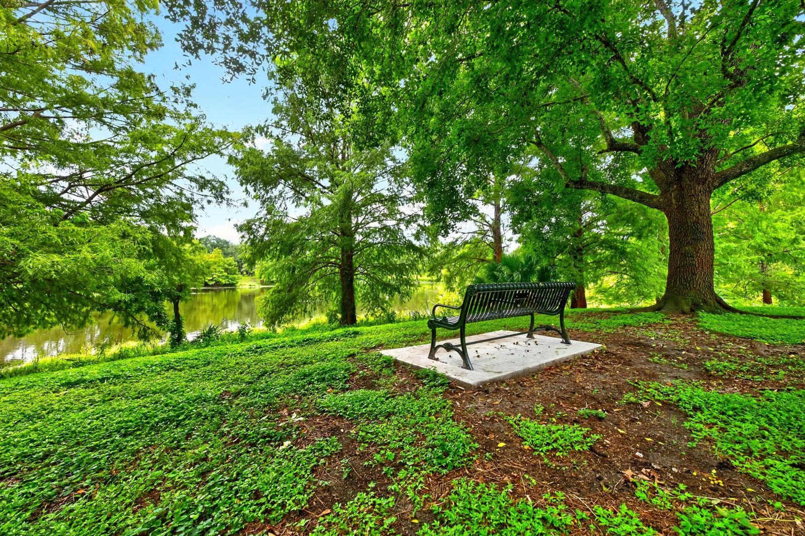Relax and unwind. - 1212 ELMWOOD ST, ORLANDO