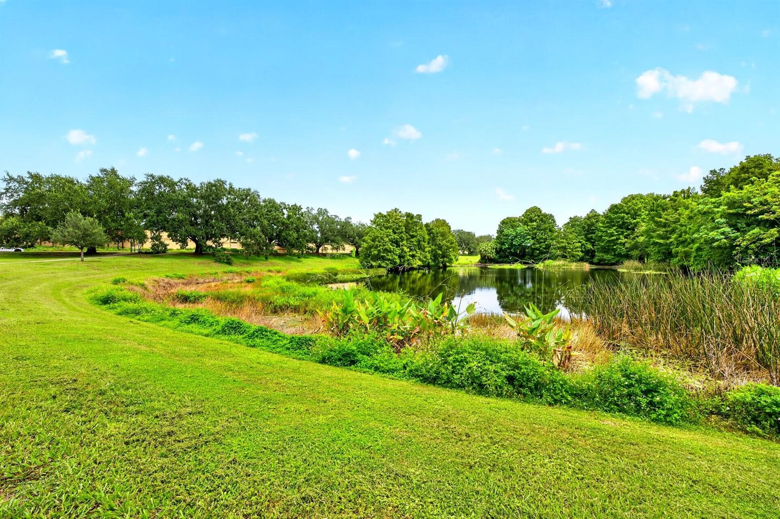 Neighborhood green spaces and water views. - 1212 ELMWOOD ST, ORLANDO