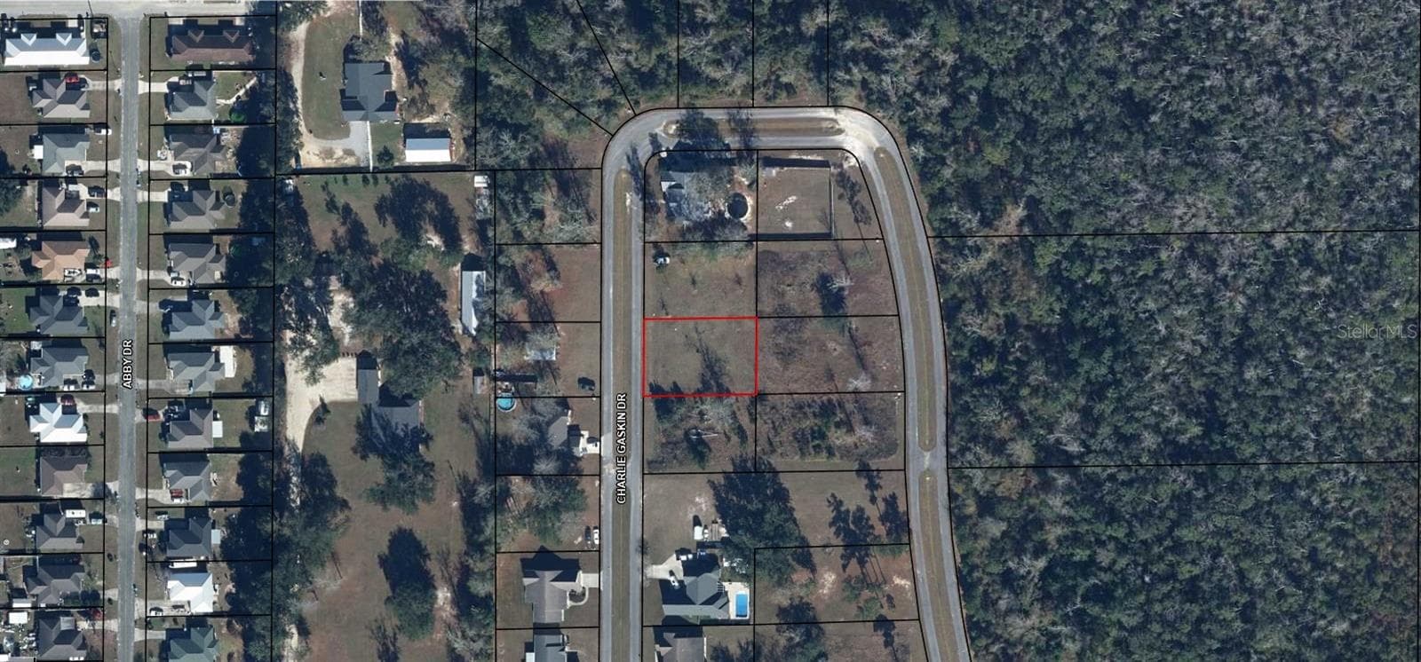 Land at CHARLIE GASKIN DR, WEWAHITCHKA, photo 2 of 3