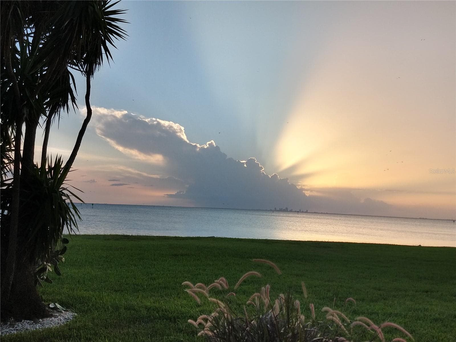 Condominium at 800 BAHIA DEL SOL DR #A, RUSKIN, photo 59 of 73