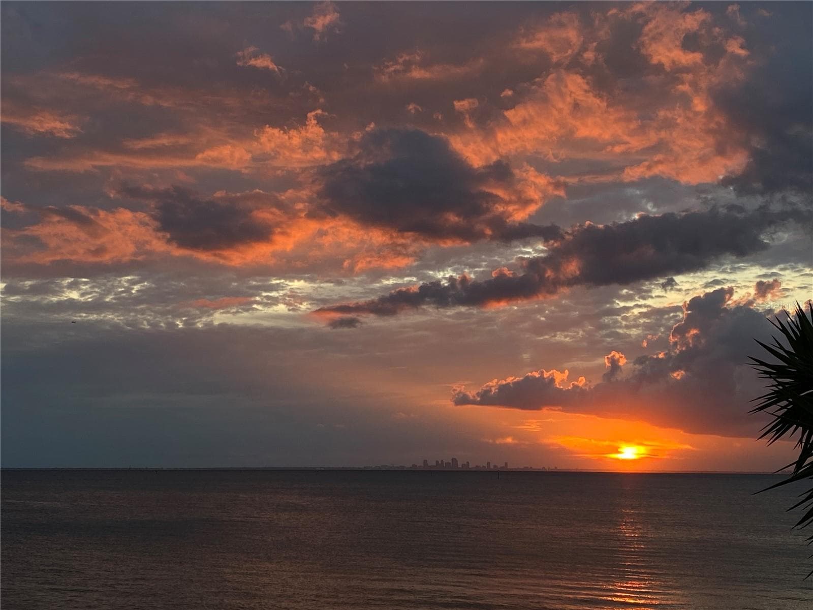 Condominium at 800 BAHIA DEL SOL DR #A, RUSKIN, photo 61 of 73