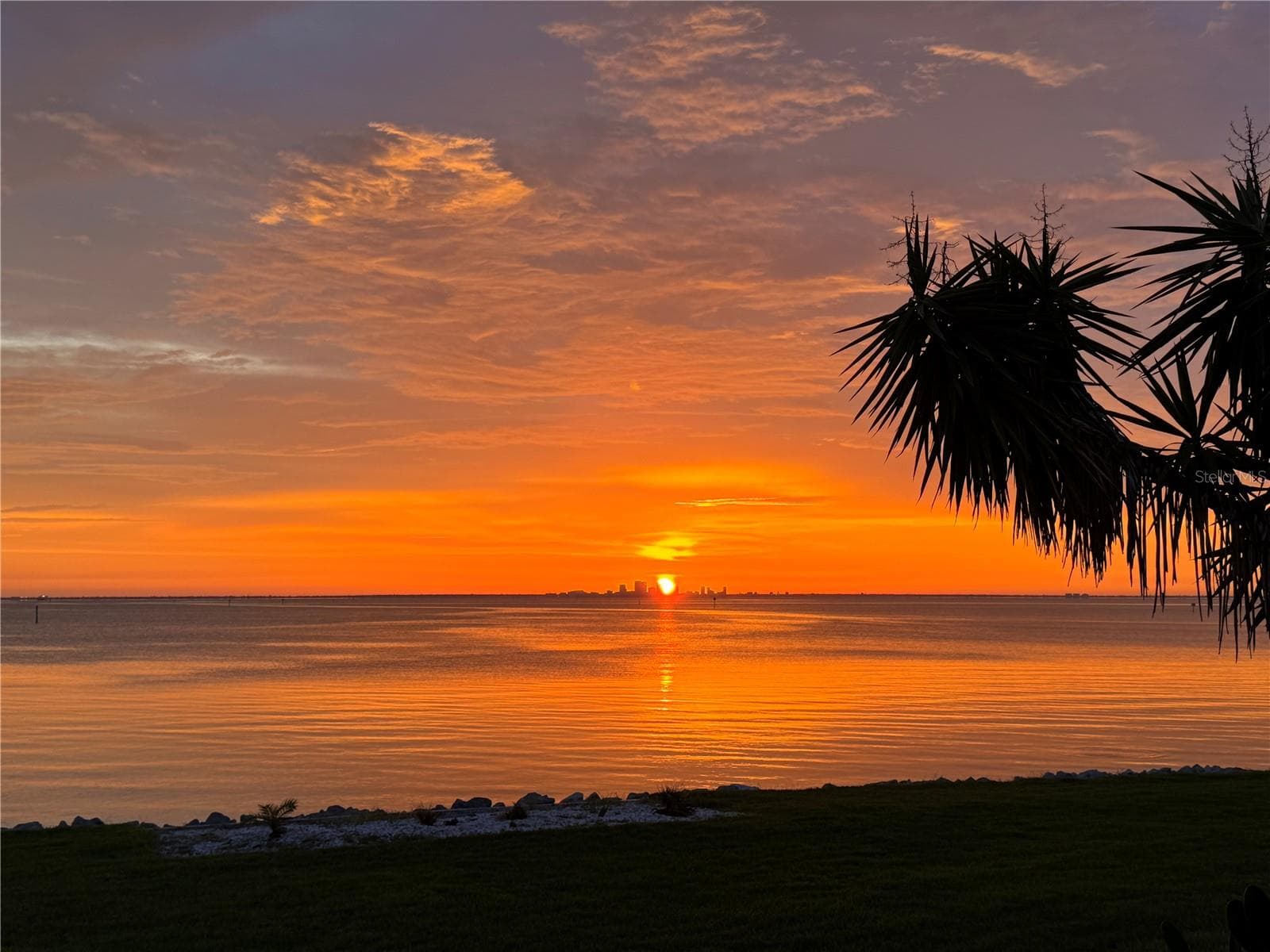 Condominium at 800 BAHIA DEL SOL DR #A, RUSKIN, photo 65 of 73