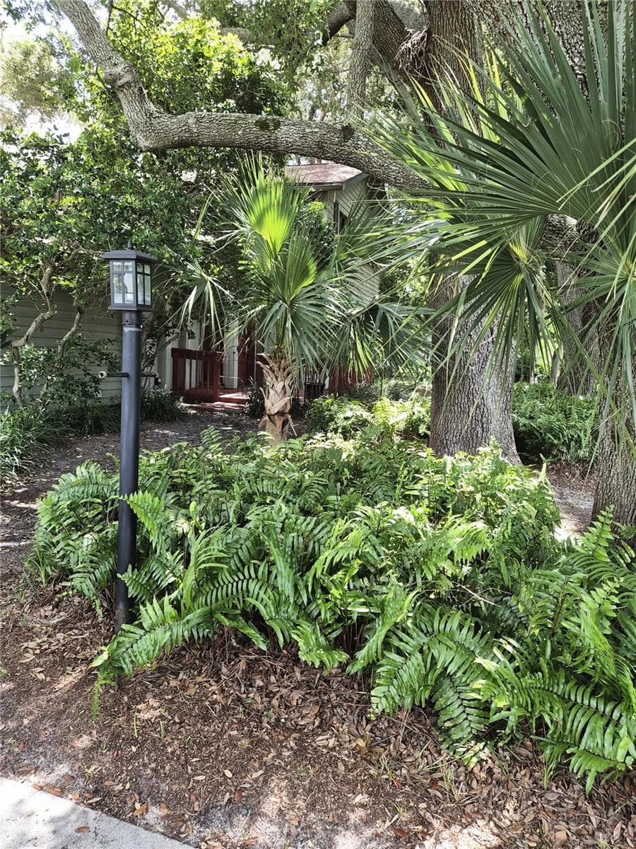Landscaping - 9913 W BAY ST, SEMINOLE