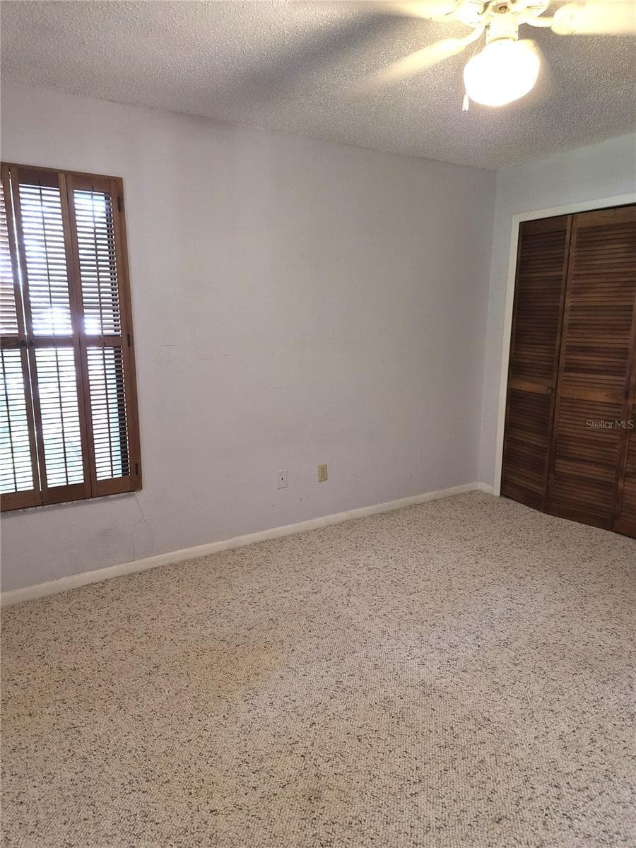 Guest Room 1 - 9913 W BAY ST, SEMINOLE