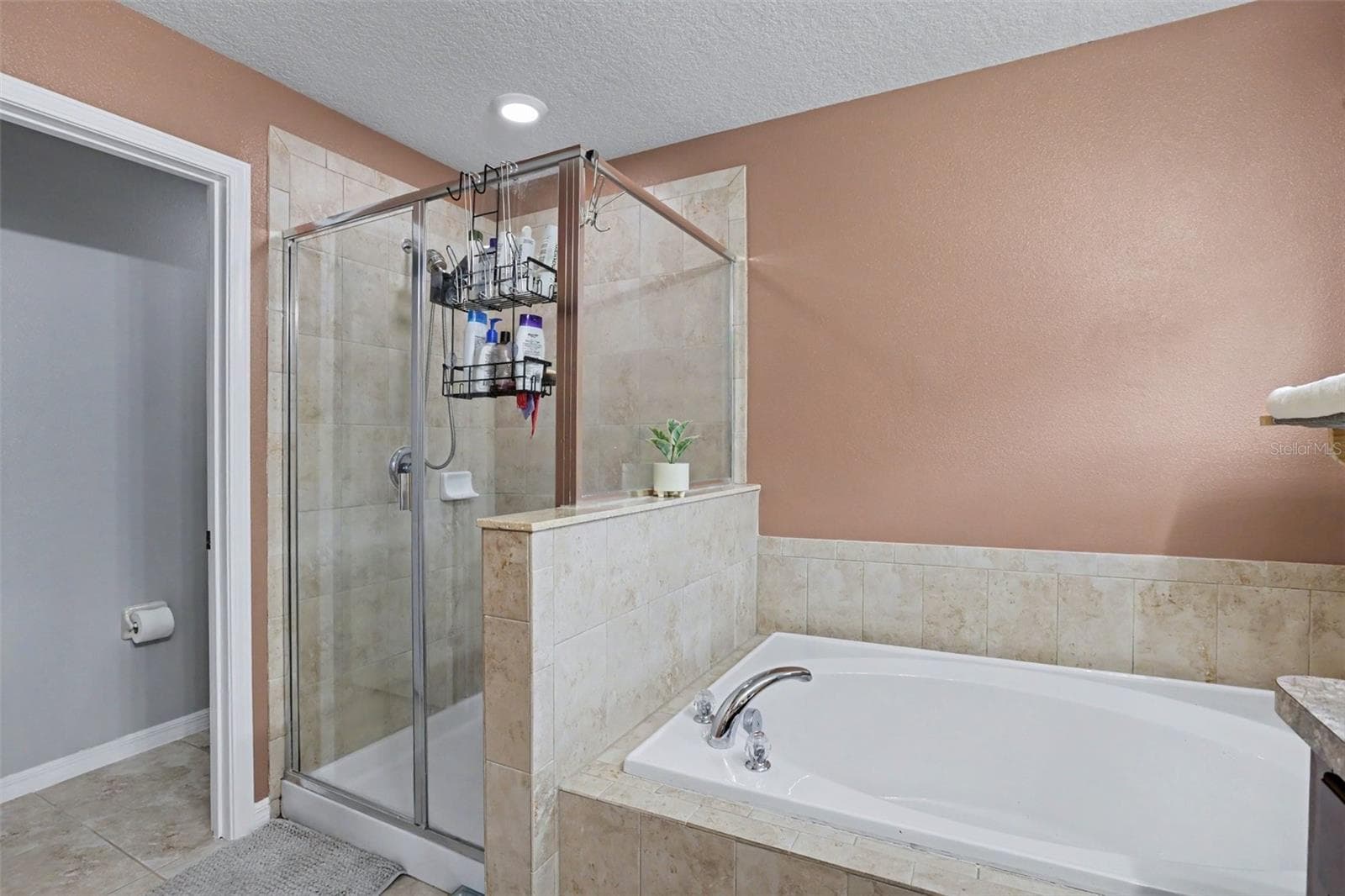 Single Family Residence at 4956 REFLECTING POND CIR, WIMAUMA, photo 18 of 30