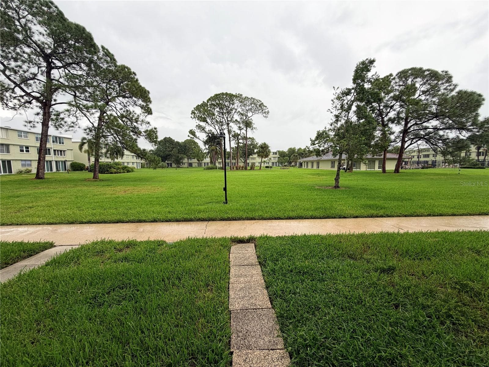 Looking out to the courtyard, pool and clubhouse - 4885 1ST ST NE #117, ST PETERSBURG