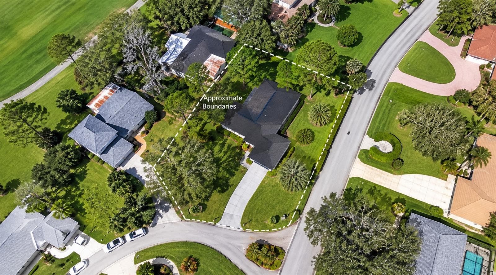arial picture aprox boundaries - 5144 PINE TREE LN, WESLEY CHAPEL