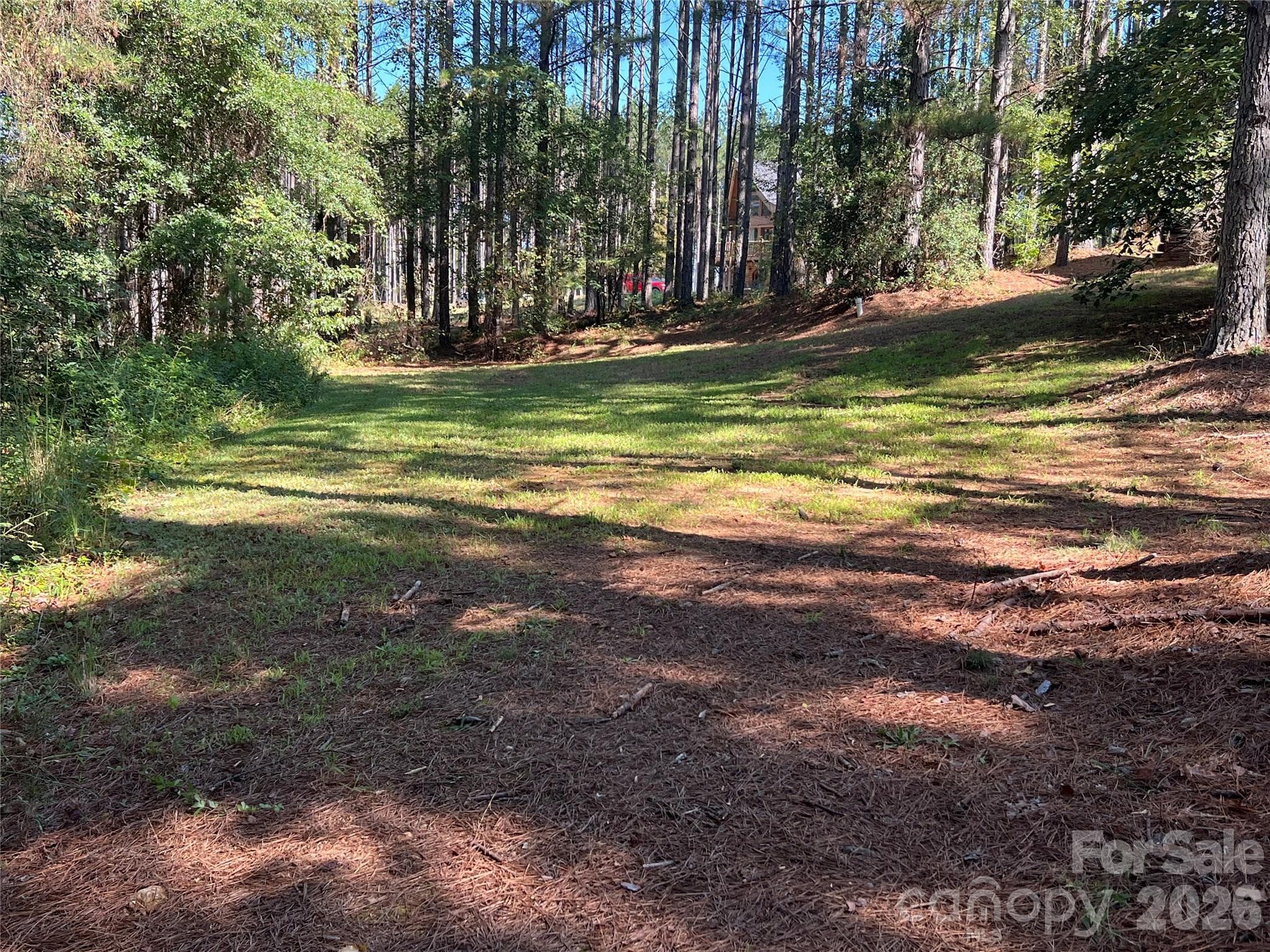 Single Family Residence at 651 Dills Road, Rutherfordton, photo 45 of 46