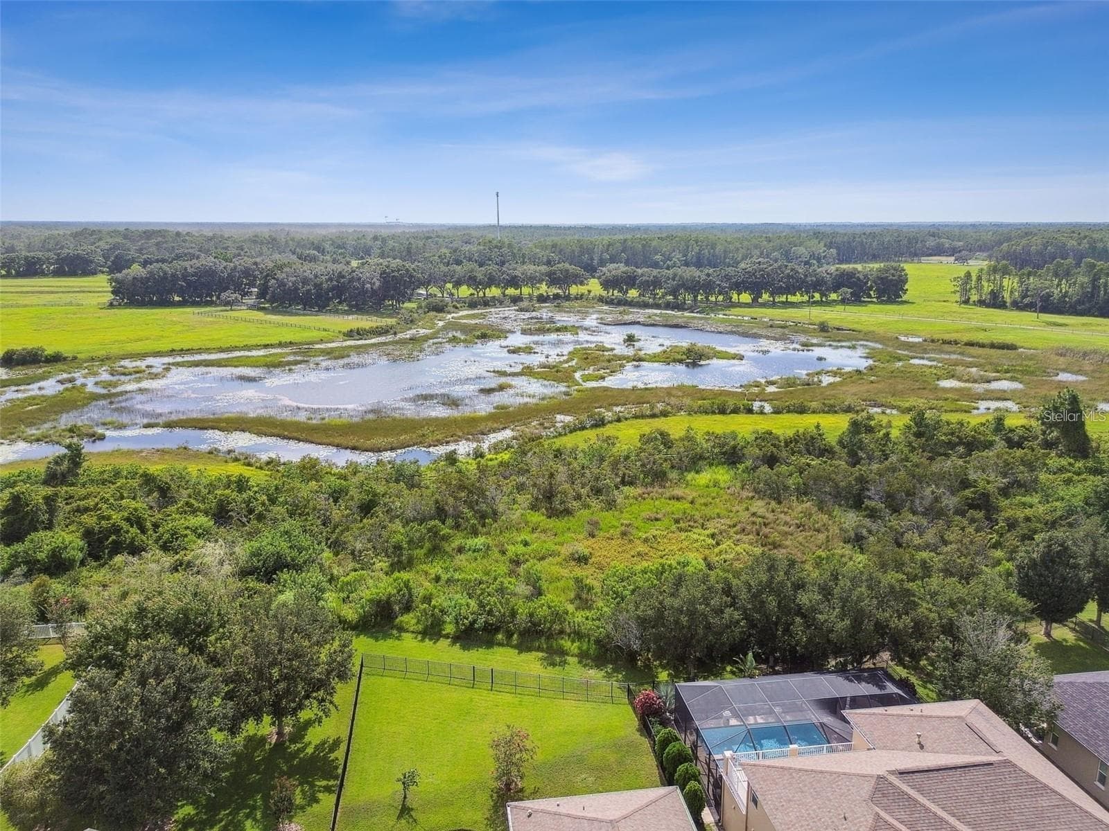 Single Family Residence at 8542 EAGLE BROOK DR, LAND O LAKES, photo 59 of 76