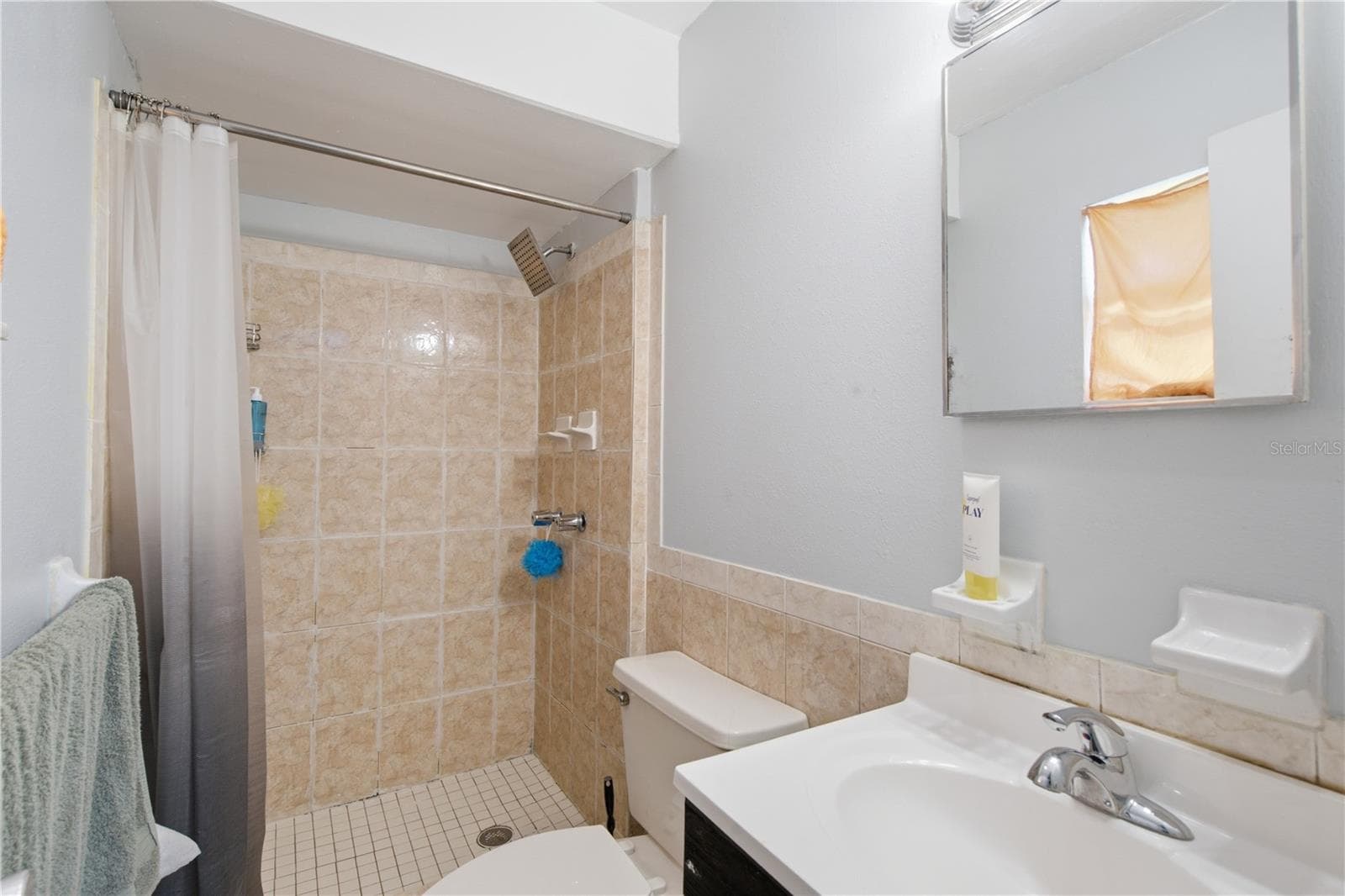 Single Family Residence at 802 PAPAYA DR, TAMPA, photo 27 of 40