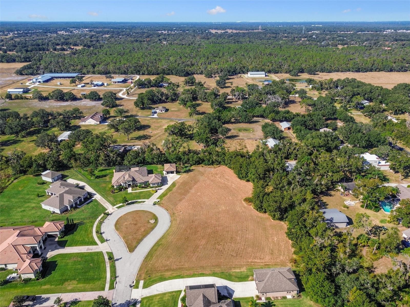 Land at 420 HAWK TALON DR, LITHIA, photo 10 of 31