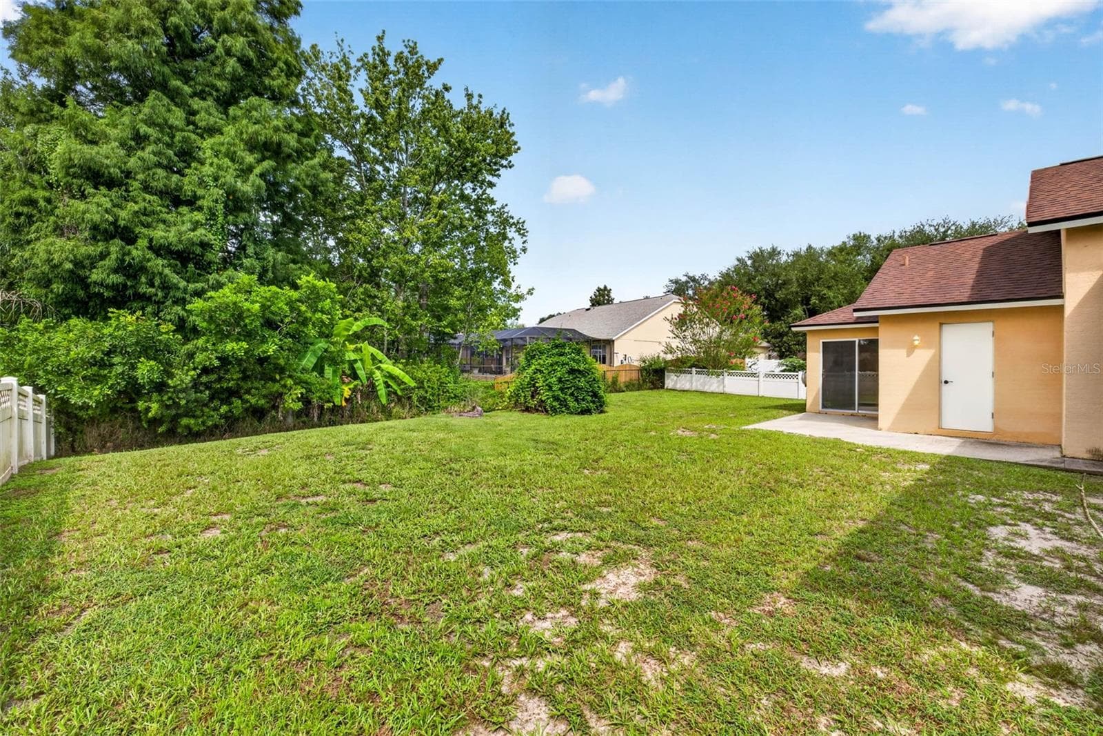 BACK YARD - 9603 BIRNAMWOOD ST, RIVERVIEW