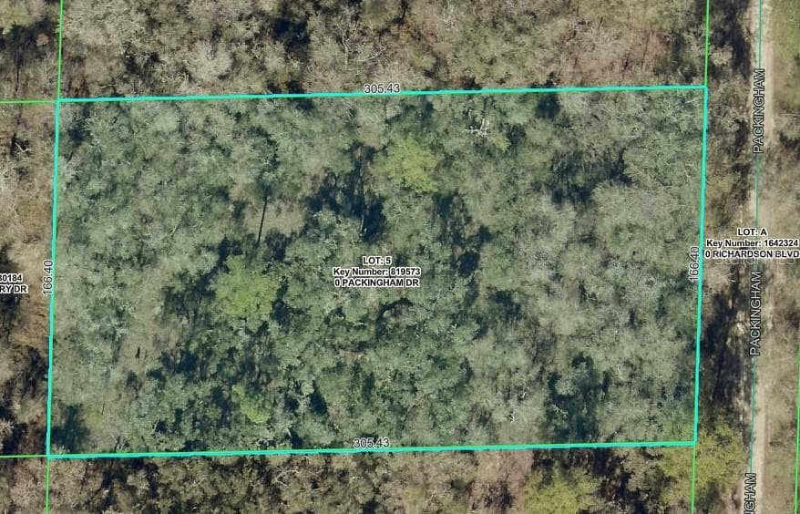 Land at TBD PACKINGHAM DR, WEBSTER, photo 2 of 4