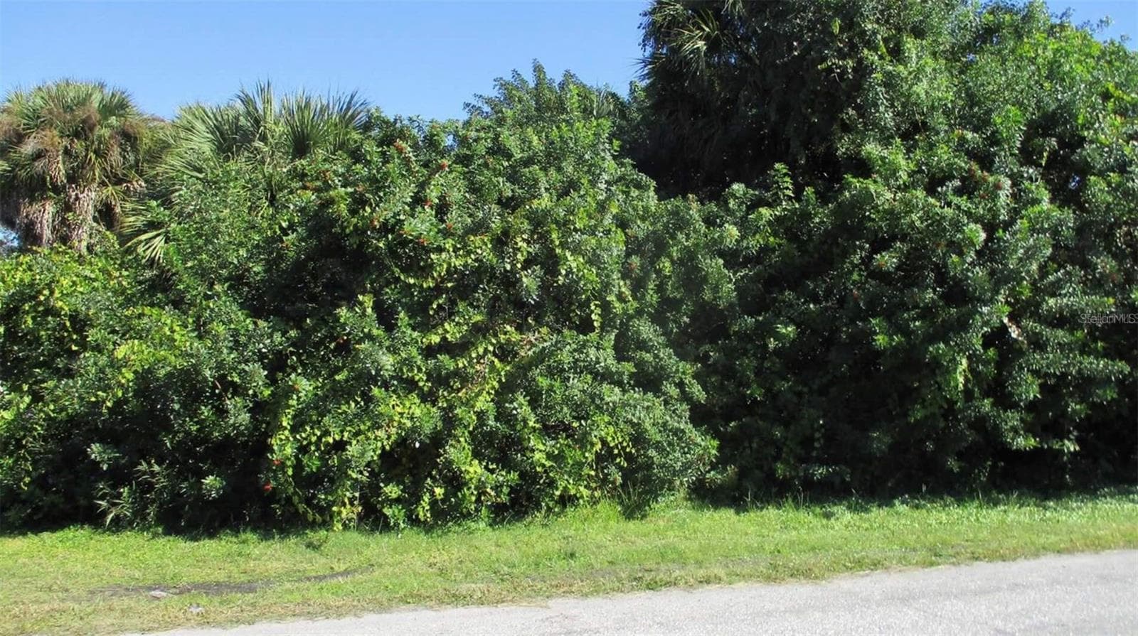 Land at DULCE AVE, NORTH PORT, photo 2 of 2