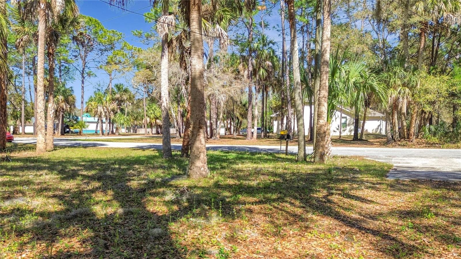 Single Family Residence at 416 N HOURGLASS TER, CRYSTAL RIVER, photo 48 of 61