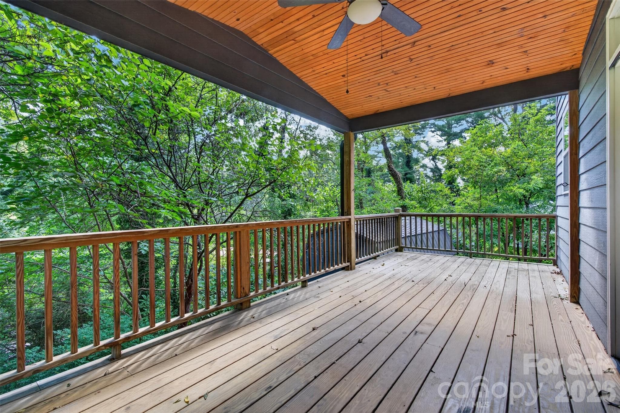 Gorgegous back deck, relax with the Redbuds - 134 Shelburne Road, Asheville