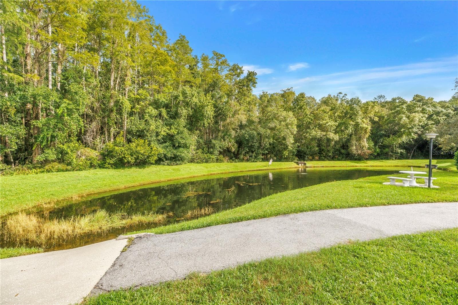 Condominium at 1290 PINE RIDGE CIR E #G2, TARPON SPRINGS, photo 7 of 59