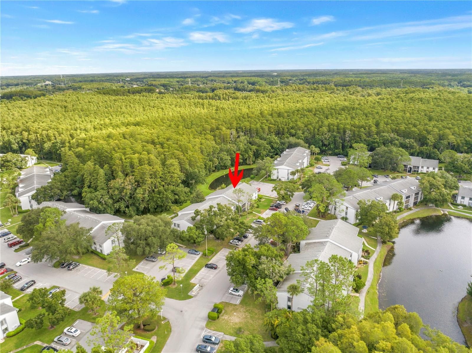 Condominium at 1290 PINE RIDGE CIR E #G2, TARPON SPRINGS, photo 58 of 59