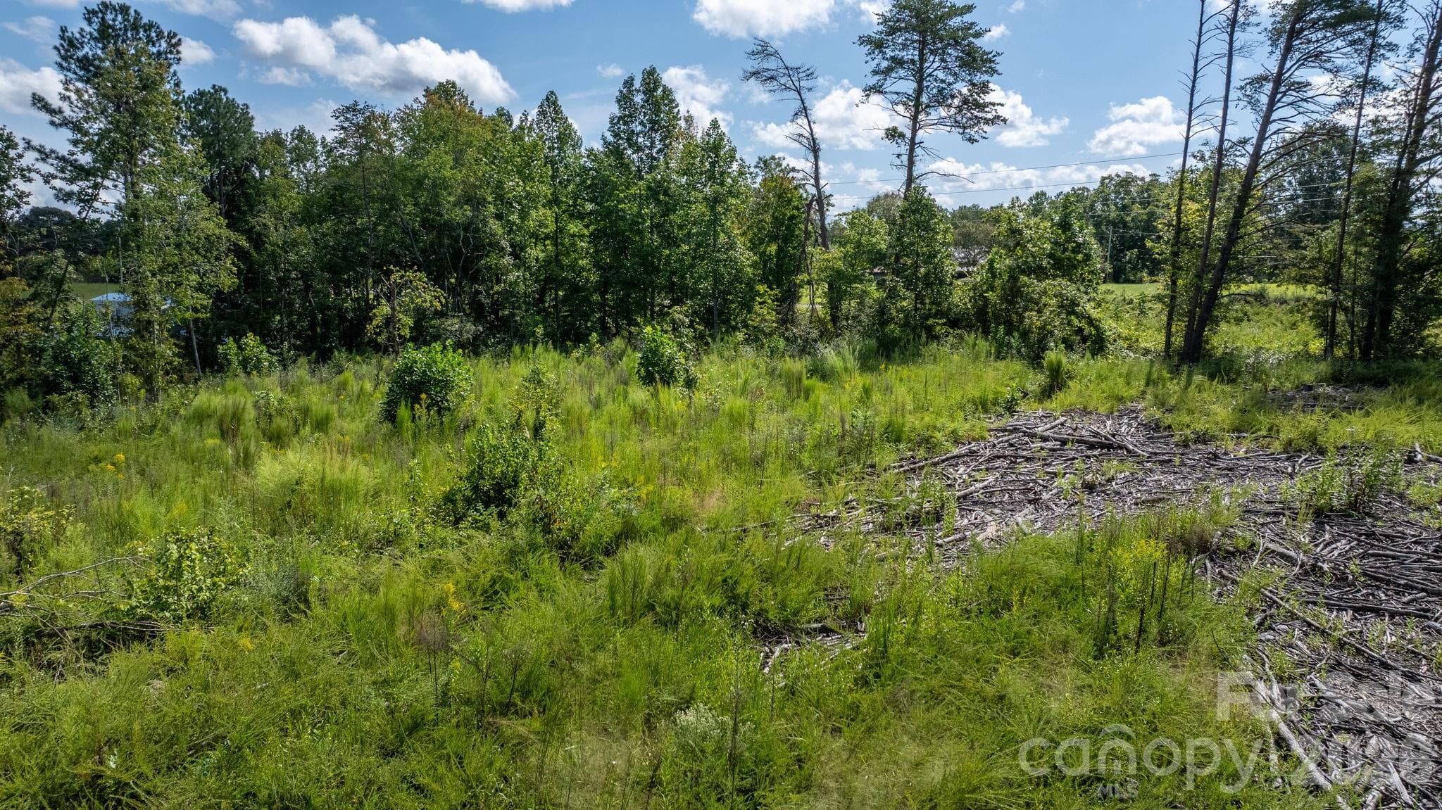 Acreage at 817 Drucilla Church Road, Nebo, photo 2 of 40