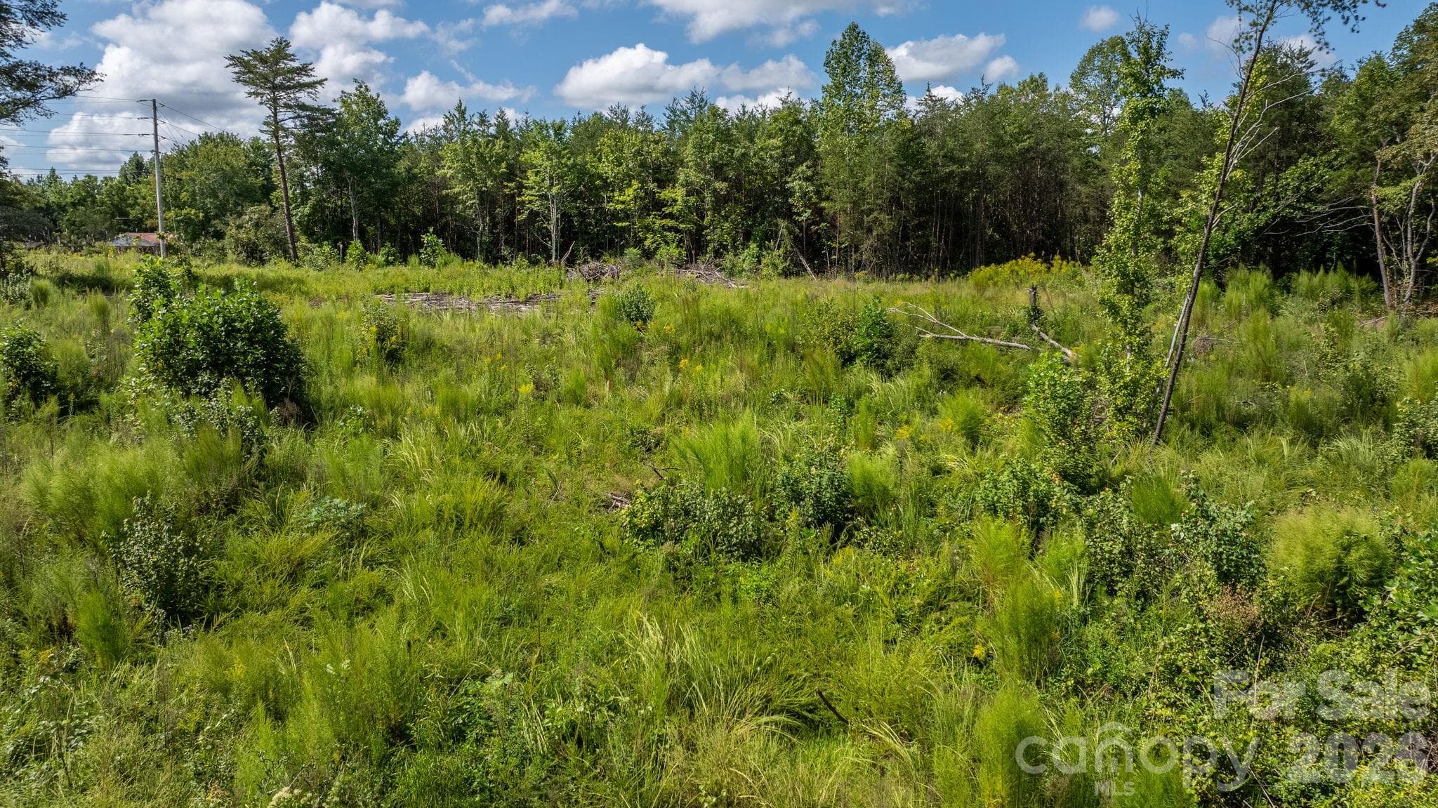 Acreage at 817 Drucilla Church Road, Nebo, photo 3 of 40