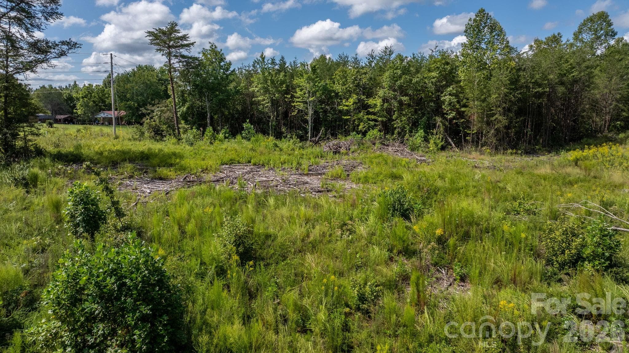 Acreage at 817 Drucilla Church Road, Nebo, photo 4 of 40
