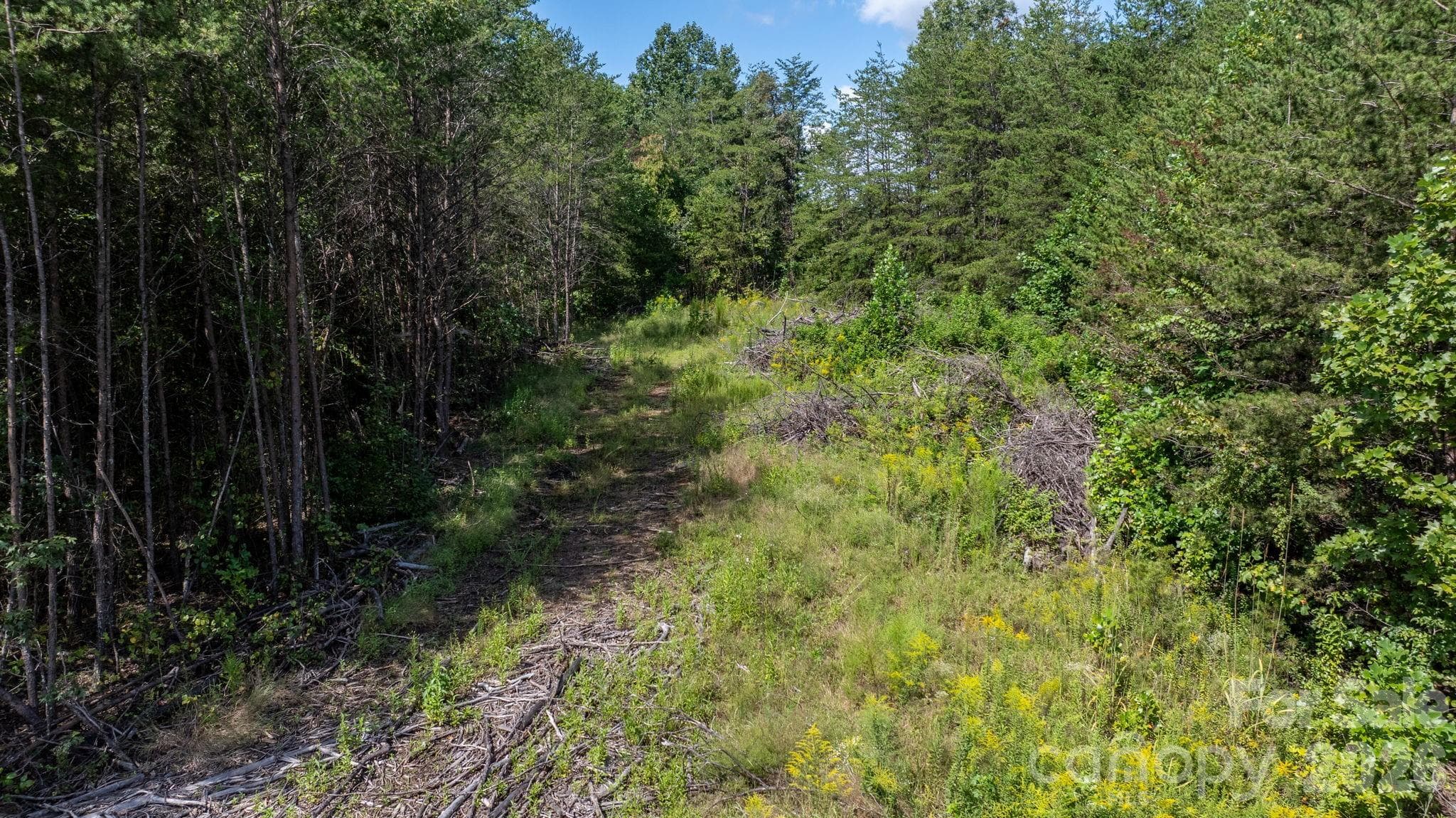 Acreage at 817 Drucilla Church Road, Nebo, photo 5 of 40