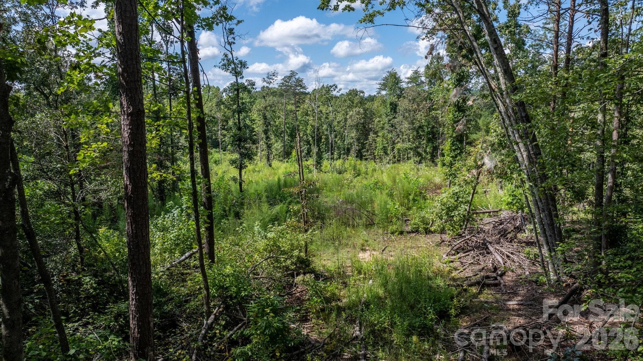 Acreage at 817 Drucilla Church Road, Nebo, photo 6 of 40