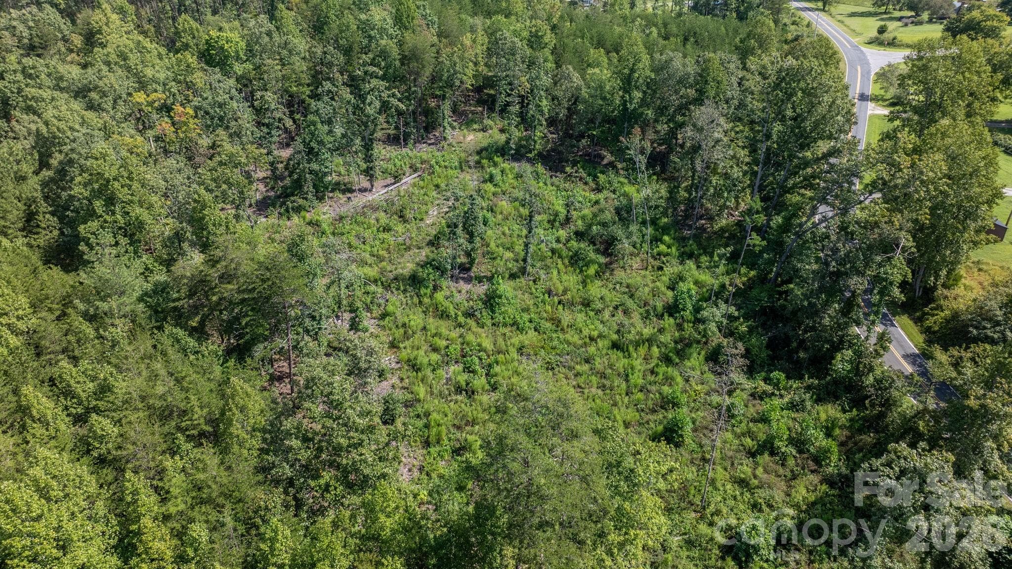 Acreage at 817 Drucilla Church Road, Nebo, photo 7 of 40