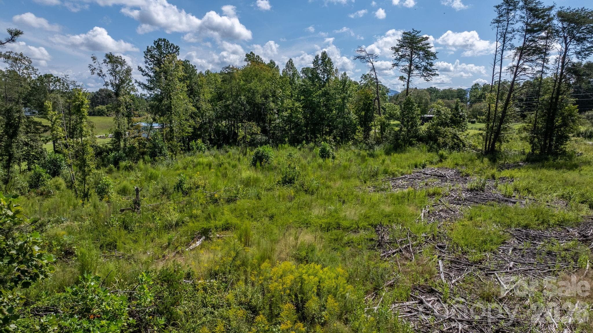 Acreage at 817 Drucilla Church Road, Nebo, photo 9 of 40