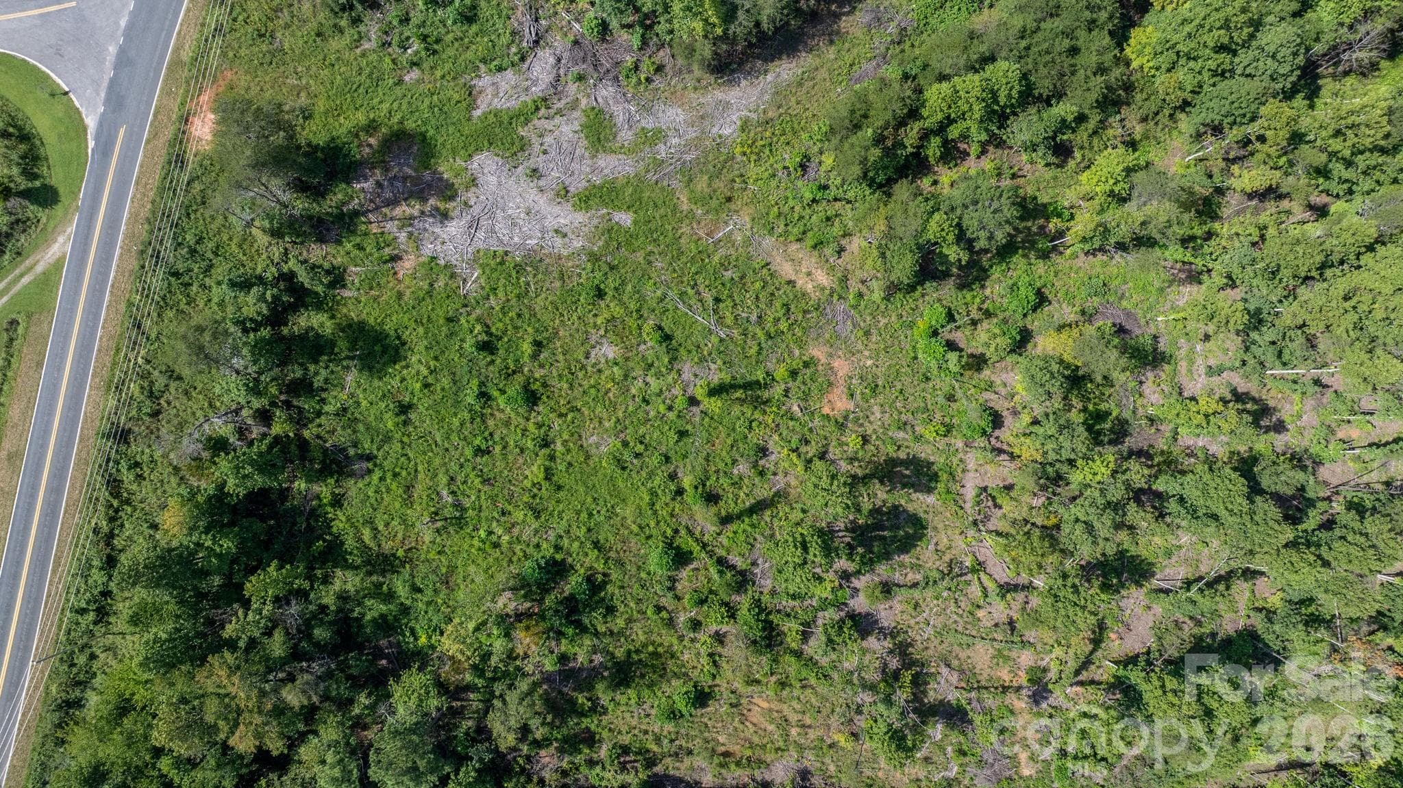 Acreage at 817 Drucilla Church Road, Nebo, photo 10 of 40