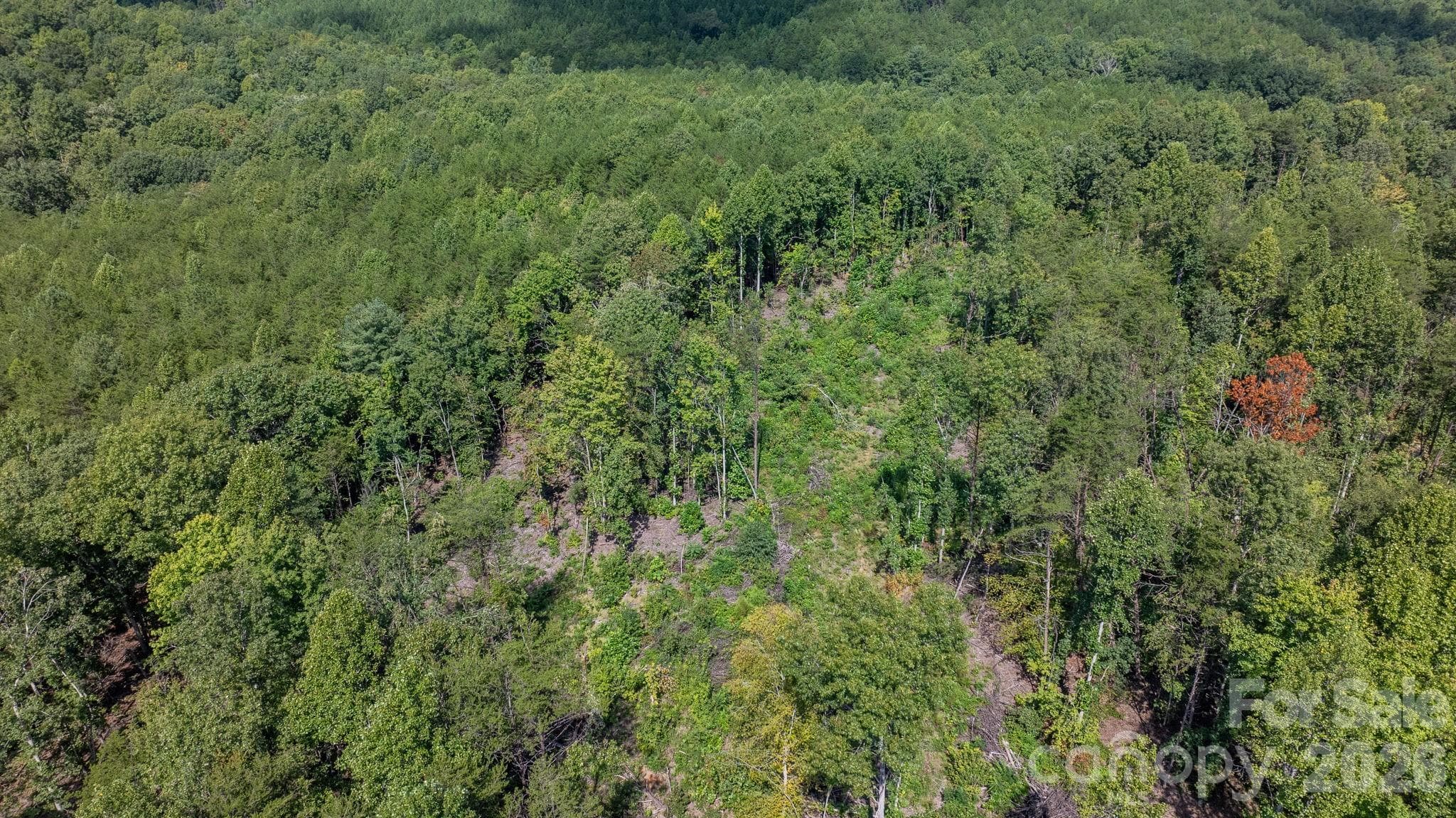Acreage at 817 Drucilla Church Road, Nebo, photo 11 of 40