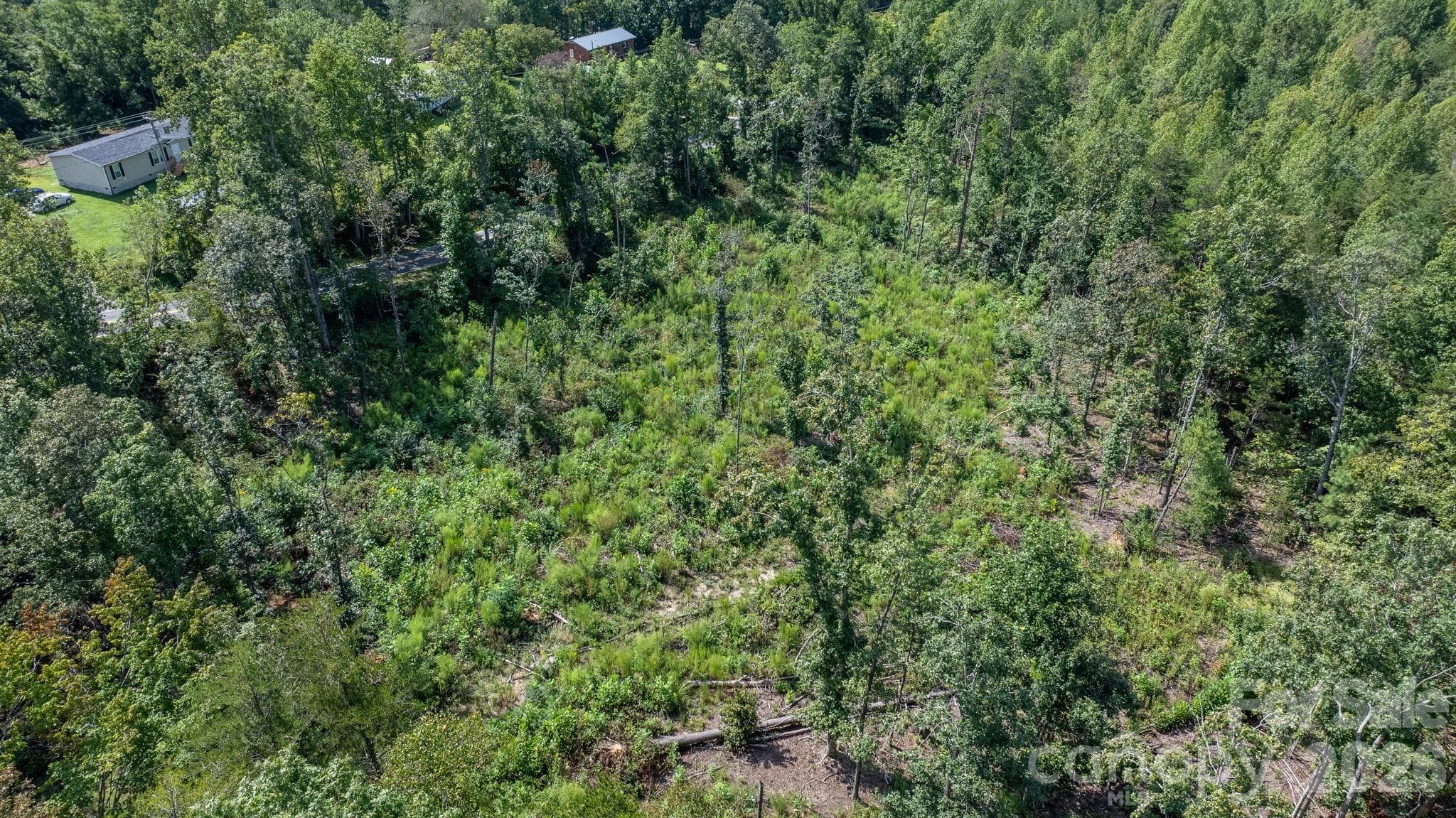 Acreage at 817 Drucilla Church Road, Nebo, photo 12 of 40